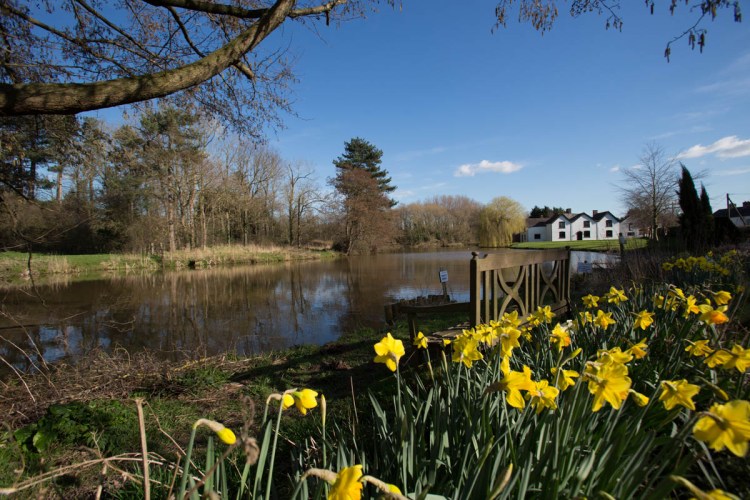 Picturesque spring view of a fishing pond, with the Grade II listed Aldersey’s Pool Farm in the background.