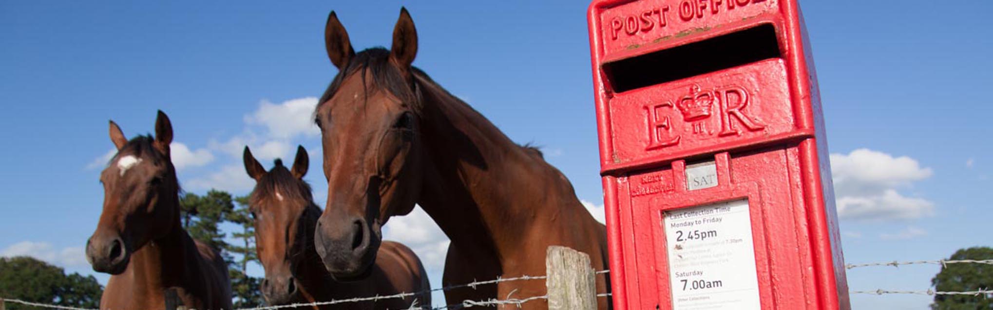 Village of Coddington, England. Picturesque view of a red Post Office letter post box with horses in the background.