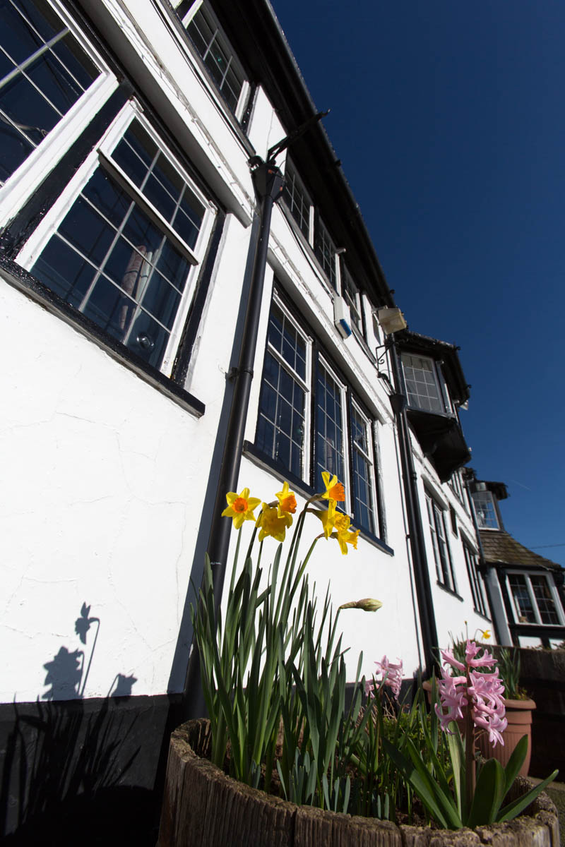 Spring low angle view of Handley’s Calveley Arms restaurant and pub, on Whitchurch Road.